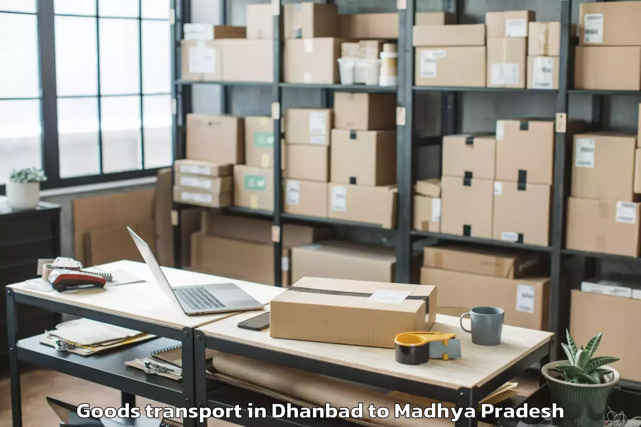 Top Dhanbad to Sanwer Goods Transport Available